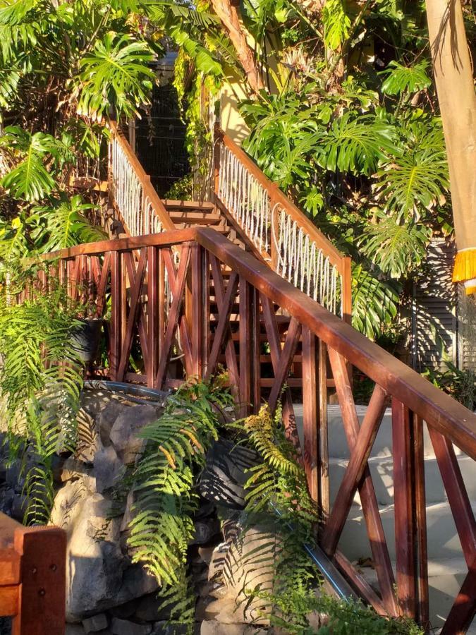 Dazk Golden Estate Otel Ribeira Brava Dış mekan fotoğraf