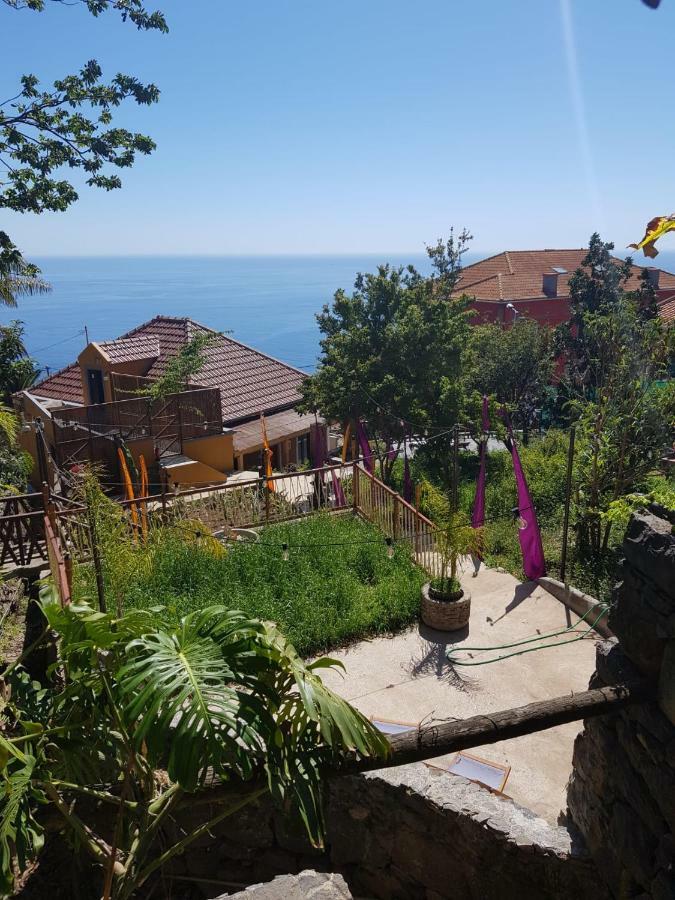 Dazk Golden Estate Otel Ribeira Brava Dış mekan fotoğraf