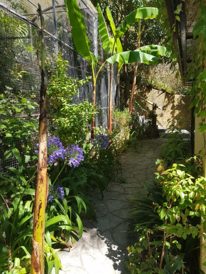 Dazk Golden Estate Otel Ribeira Brava Dış mekan fotoğraf